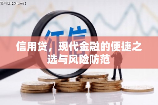 如皋信用贷，现代金融的便捷之选与风险防范