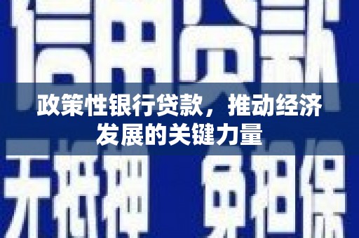 鹤城政策性银行贷款，推动经济发展的关键力量