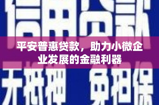 周宁平安普惠贷款，助力小微企业发展的金融利器
