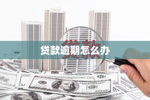 火炬贷款逾期怎么办