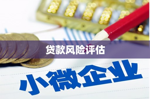 胶州贷款风险评估