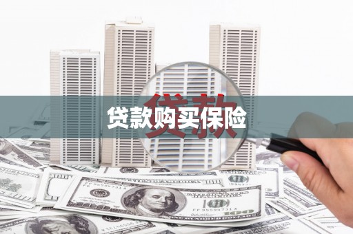 全椒贷款购买保险