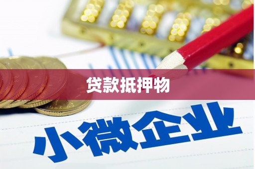 新蔡贷款抵押物