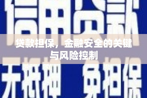 新泰贷款担保，金融安全的关键与风险控制