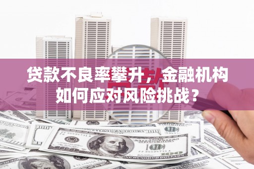 兰考贷款不良率攀升，金融机构如何应对风险挑战？