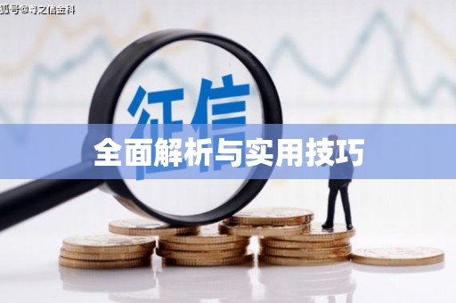 射阳全面解析与实用技巧
