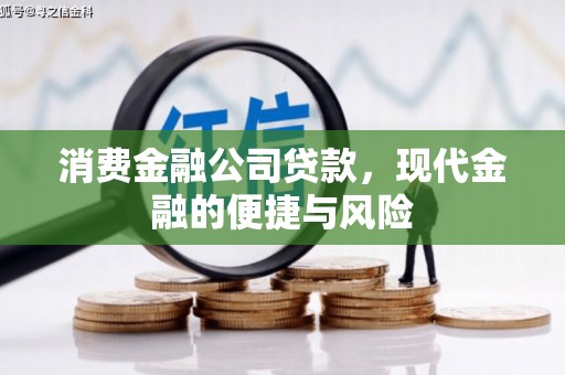 台西消费金融公司贷款，现代金融的便捷与风险