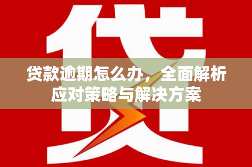 耒阳贷款逾期怎么办，全面解析应对策略与解决方案