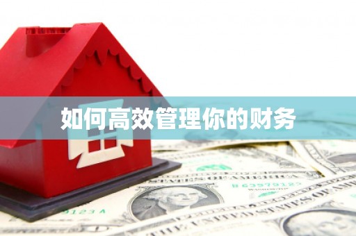 海安如何高效管理你的财务