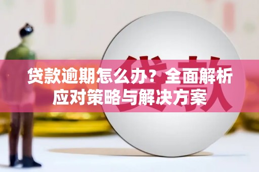 延安贷款逾期怎么办？全面解析应对策略与解决方案