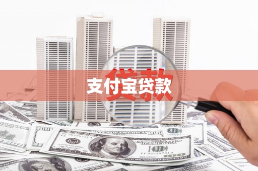 信州支付宝贷款