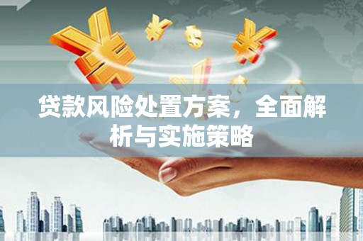 珠海贷款风险处置方案，全面解析与实施策略