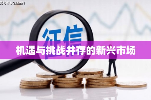颍上机遇与挑战并存的新兴市场