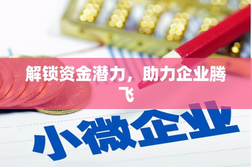 玉树解锁资金潜力，助力企业腾飞