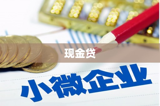 耒阳现金贷