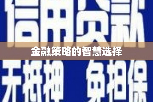 馆陶金融策略的智慧选择