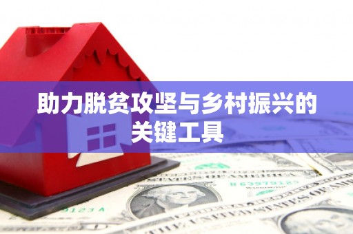 太麻里助力脱贫攻坚与乡村振兴的关键工具