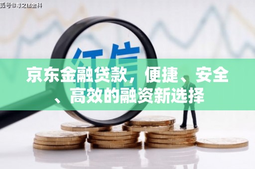 池上京东金融贷款，便捷、安全、高效的融资新选择